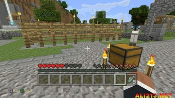 《白金攻略揭秘！《我的世界》金奖杯达成全攻略大揭秘》