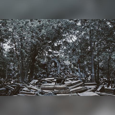 《光与影33号队探秘:神秘废墟谜题大揭秘!》 《光与影33号队探秘:神秘废墟谜题大揭秘!》