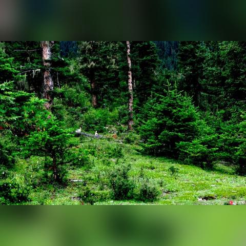 《光与影33号队雪结秘境探秘:解锁独特获取攻略》 《光与影33号队雪结秘境探秘:解锁独特获取攻略》