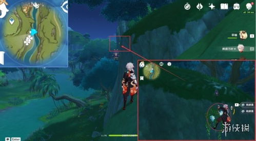 《原神》劫波莲速采攻略!独家采集技巧大揭秘! 《原神》劫波莲速采攻略!独家采集技巧大揭秘!