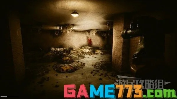 《探秘下水道:揭秘《深入后室》独家通关秘籍》 《探秘下水道:揭秘《深入后室》独家通关秘籍》