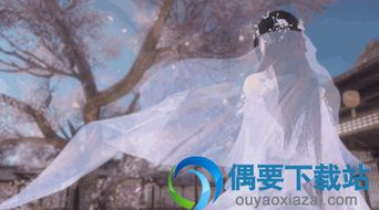 《逆水寒》林振北攻略揭秘！仗剑行第一关必胜技巧大公开