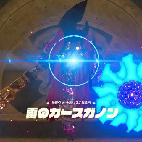 《荒野之息套装揭秘：效果全解析+独家图鉴》