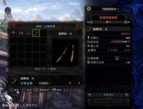 《怪物猎人世界》烂辉龙攻略：揭秘重弩全流派神装搭配！