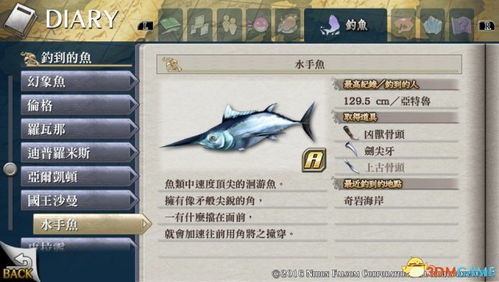 《伊苏8》白金攻略揭秘:图文详解,两部精华攻略大公开! 《伊苏8》白金攻略揭秘:图文详解,两部精华攻略大公开!