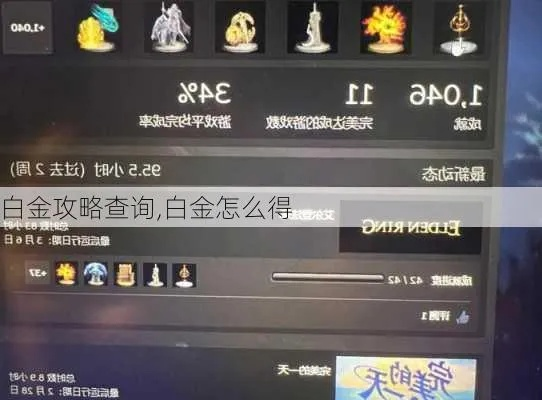 《圣王国》白金攻略揭秘：独家技巧助你轻松登顶！