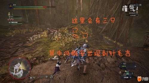 《猎怪秘籍!《怪物猎人世界》环境生物捕获全攻略揭秘》 《猎怪秘籍!《怪物猎人世界》环境生物捕获全攻略揭秘》