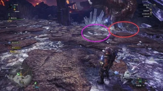 《猎怪秘籍!《怪物猎人世界》大小金测量技巧大揭秘》 《猎怪秘籍!《怪物猎人世界》大小金测量技巧大揭秘》