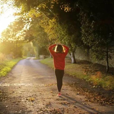 《杀手4：血钱》攻略揭秘！隐藏技巧大公开，轻松通关！