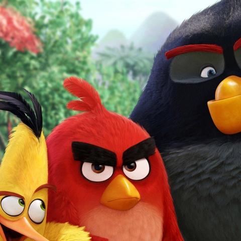 《愤怒的小鸟》攻略揭秘：一招制胜，简单操作大揭秘！