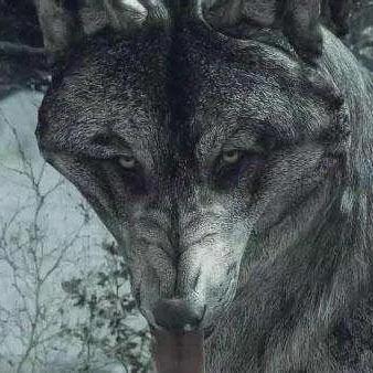 《揭秘《极度恐慌3》攻略：独家图文流程，惊悚冒险等你来挑战！》