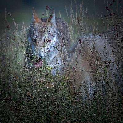 《揭秘《极度恐慌3》攻略：独家图文流程，惊悚冒险等你来挑战！》