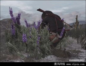 《荒野大镖客生存挑战：揭秘生存高手秘籍！》