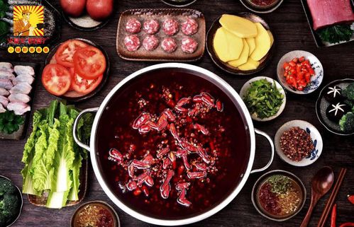 《仙剑客栈2》炒饭流攻略:揭秘高效赚钱秘籍! 《仙剑客栈2》炒饭流攻略:揭秘高效赚钱秘籍!