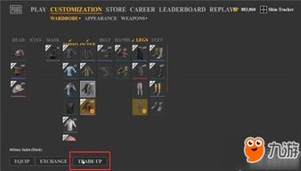 《逆境求生攻略揭秘：操作技巧+界面解析+合成秘籍大公开》