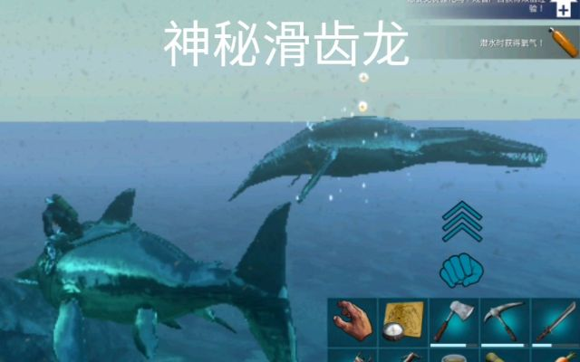 《驯服滑齿龙秘籍:方舟生存进化独家攻略》 《驯服滑齿龙秘籍:方舟生存进化独家攻略》