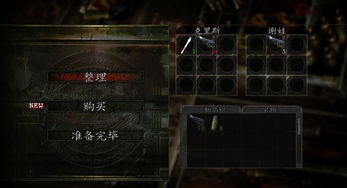 《生化5黄金版》专家挑战全攻略：揭秘隐藏技巧！