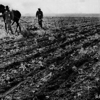 乙金战争建筑攻略:揭秘全建筑单位实战技巧! 乙金战争建筑攻略:揭秘全建筑单位实战技巧!