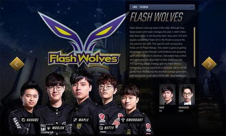 《PGS8战队集结！揭秘PGS8都有哪些顶尖战队》