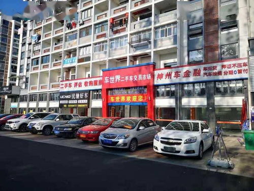 《宗门志》开局秘籍大揭秘:如何轻松掌握选择技巧? 《宗门志》开局秘籍大揭秘:如何轻松掌握选择技巧?