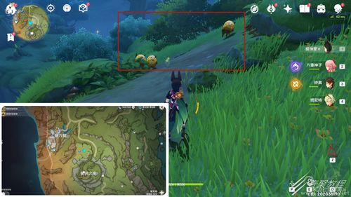 《原神》邂逅珍稀鸟！揭秘触发秘境瞬间攻略！