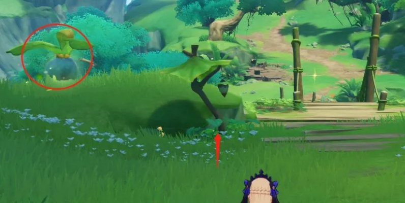 《须弥宝箱大揭秘!独家攻略教你轻松获取》 《须弥宝箱大揭秘!独家攻略教你轻松获取》