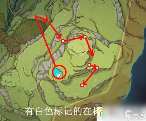 《原神》树王圣体菇攻略：独家采集路线，快速获取秘法菇！