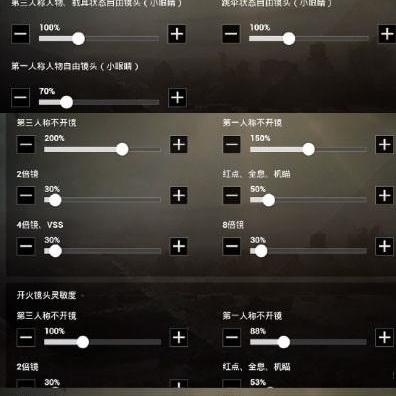 《绝地求生》新版画面设置攻略：揭秘全新视觉体验！