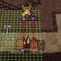 《饥荒月石攻略:揭秘月石联机版使用技巧!》 《饥荒月石攻略:揭秘月石联机版使用技巧!》