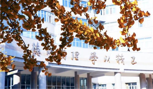 《模拟人生4》育儿秘籍大揭秘!深度玩法解析,不容错过! 《模拟人生4》育儿秘籍大揭秘!深度玩法解析,不容错过!