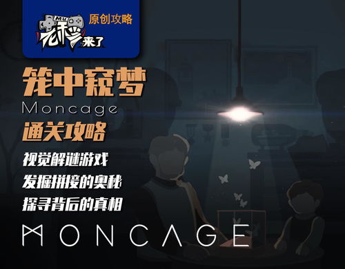 《诞生全流程揭秘：独家攻略，解锁通关秘籍！》