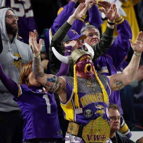 《维京狼攻略揭秘：全程图文深度解析》