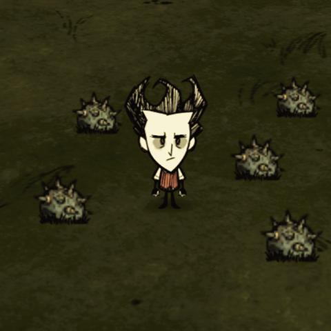 《《饥荒》独家揭秘:狗牙陷阱与火鸡陷阱制作攻略,轻松升级你的生存技巧!》 《《饥荒》独家揭秘:狗牙陷阱与火鸡陷阱制作攻略,轻松升级你的生存技巧!》