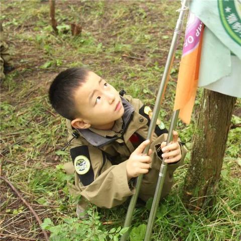 小小冒险村探秘攻略:揭秘隐藏玩法,速来挑战! 小小冒险村探秘攻略:揭秘隐藏玩法,速来挑战!