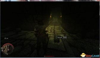 《乌鸦悲鸣全主线速攻!独家攻略揭秘,点击解锁高效玩法》 《乌鸦悲鸣全主线速攻!独家攻略揭秘,点击解锁高效玩法》