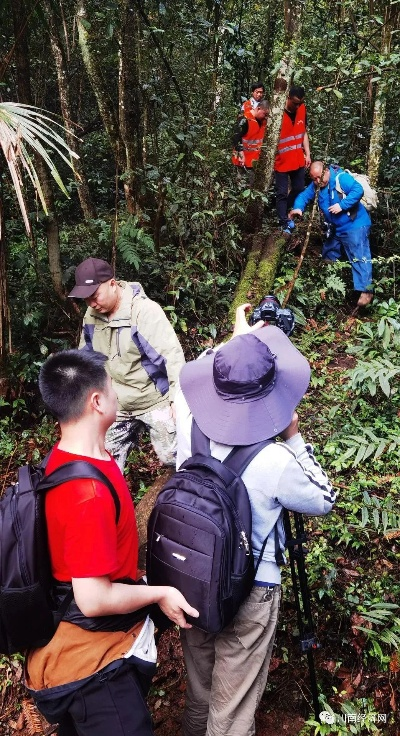 探寻伊班秘境!揭秘宝藏位置,独家视频攻略大揭秘 探寻伊班秘境!揭秘宝藏位置,独家视频攻略大揭秘