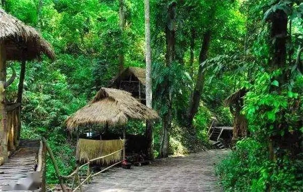 探寻伊班秘境!揭秘宝藏位置,独家视频攻略大揭秘 探寻伊班秘境!揭秘宝藏位置,独家视频攻略大揭秘