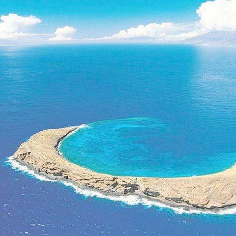 《海岛大亨5攻略揭秘:隐藏技巧曝光,轻松成为岛主!》 《海岛大亨5攻略揭秘:隐藏技巧曝光,轻松成为岛主!》