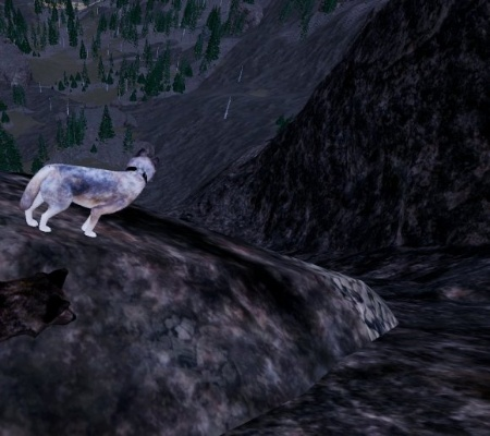 《狼行秘境：第二章深度图文攻略，揭秘狼群生活！》