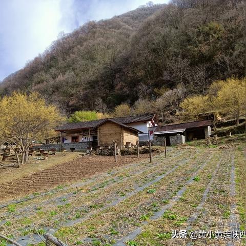 《腐烂国度》速攻攻略:揭秘生存技巧,解锁隐藏秘境! 《腐烂国度》速攻攻略:揭秘生存技巧,解锁隐藏秘境!