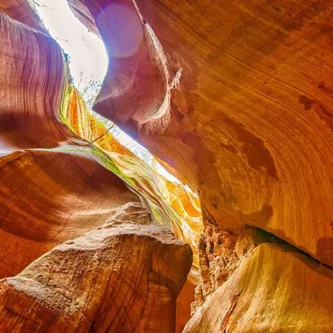 《光与影33号队透盾射击符纹秘境寻踪》