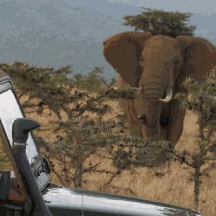 狂野星球复仇记:揭秘复仇之旅,玩法大揭秘! 狂野星球复仇记:揭秘复仇之旅,玩法大揭秘!