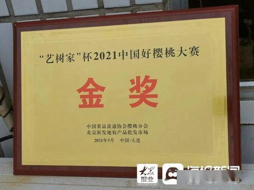 《宗门志》5.13更新闪退大揭秘！独家修复攻略，速来围观！