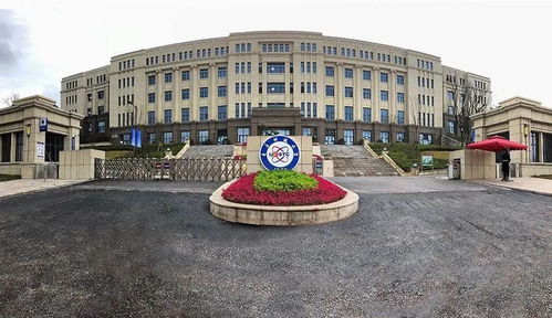 《崛起国王骑士大剑毕业秘籍，揭秘最强配装攻略！》