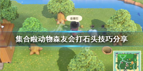 《动物森友会》石头刷新揭秘：隐藏机制大揭秘！
