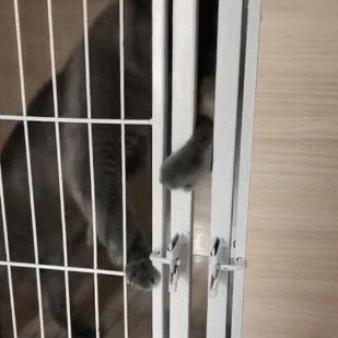 《揭秘《隐藏的人》全关卡：隐藏高手位置大揭秘！》