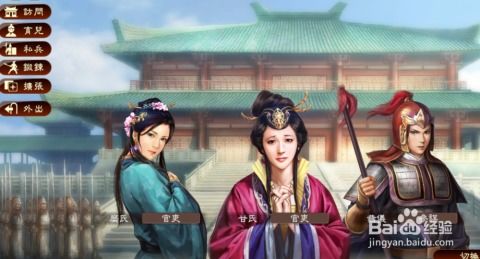 《三国志13威力加强版》育儿秘籍：揭秘如何轻松生孩子！