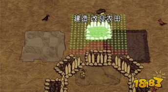 《饥荒农场种植秘籍:布局技巧大揭秘!》 《饥荒农场种植秘籍:布局技巧大揭秘!》