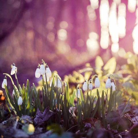 《丧尸围城2》枪械揭秘：独家图文，探寻真实原型！