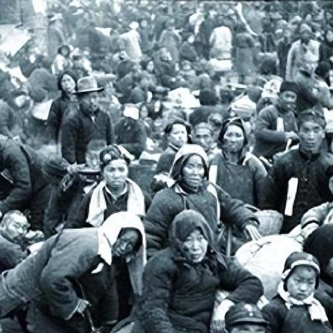 《饥荒》基地建设攻略：揭秘美观实用技巧，打造完美家园！